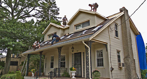 Best Metal Roofing Contractor  in Murphy, TX